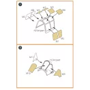Clear Prop Accessories Hawk H-75 N/O for CP kit painting mask for CP kits CP4803/CP4804 1:48 (CPA48004)