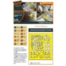 Clear Prop Accessories Mosquito B.XVI/PRXVI double-sided painting mask for Airfix kit 1:72 (CPA72199)