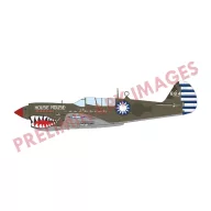   Eduard Plastic Kit Sharks and Stallions DUAL COMBO 1:48 (11200)