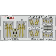  Eduard Accessory F-14D SPACE GREAT WALL HOBBY 1:48 (3DL48215)