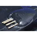 Eduard Accessory P-61 Black Widow Exterior 1:48 (48383)