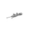 Eduard Accessory P-40 250lb Mk.2 British bomb PRINT EDUARD 1:48 (6481077)