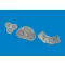 Eduard Accessory P-40N radiators upgrade set PRINT 1/48 for Eduard Accessory 1:48 (6481144)