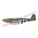 Eduard Model Kit P-51D-5 Mustang EDUARD-PROFIPACK 1:72 (70171)
