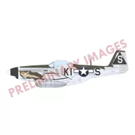   Eduard Model Kit P-51D-5 Mustang EDUARD-PROFIPACK 1:72 (70171)