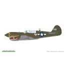 Eduard Model Kit P-40N Warhawk ProfiPACK 1:48 (82242)