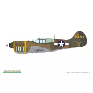 Eduard Plastic Kit P-40K short tail 1:48 (82243)