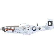 Eduard Accessory P-51D-5 8th AF EDUARD 1:72 (D72053)