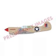 Eduard Plastic Kit P-40K Warhawk DUAL COMBO 1:48 (R0024)