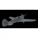 Eduard Model Kit P-40N WARHAWK ROYAL CLASS DUAL COMBO 1:48 (R0025)