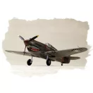 Hobby Boss P-40B/C ''HAWK''-81A 1:72 (80209)