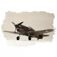   Hobby Boss P-40B/C ''HAWK''-81A 1:72 (80209)