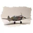 Hobby Boss P-40B/C ''HAWK''-81A 1:72 (80209)