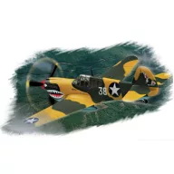   Hobby Boss P-40E ''Kitty hawk'' 1:72 (80250)