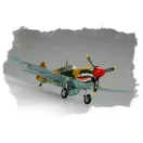 Hobby Boss P-40E ''Kitty hawk'' 1:72 (80250)