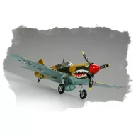   Hobby Boss P-40E ''Kitty hawk'' 1:72 (80250)