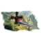Hobby Boss P-47D ''Thunderbolt'' 1:72 (80257)