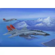 Hobby Boss F-14D Super Tomcat 1:48 (80368)