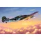 Hobby Boss Focke-Wulf FW190D-10 1:48 (81717)