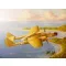 Hobby Boss US P-61A Black Widow 1:48 (81730)