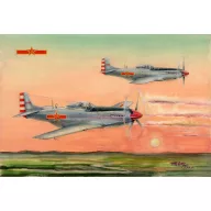 Hobby Boss PLAAF P-51D/K Mustang Fighter 1:48 (85807)
