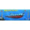 Hobby Boss DKM U-boat Type IX B 1:700 (87006)