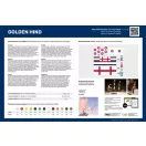 Heller Golden Hind 1:96 (80829)