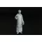 Hauler Priest 1:48 (HLF48002)