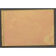 Hauler Relief plate-grill 1:87 (HLR87050)