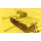 Hobby Fan M48A1 Patton Tank Conversion 1:35 (HF025)