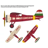 IBG 72526 PZL P.11a Hungarian Colours 1:72