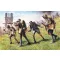 ICM Deutsche Sturmtruppen 1917/18 1:35 (35291)