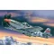 ICM Mustang P-51C American Fighter 1:48 (48121)