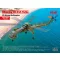ICM Sikorsky CH-54A Tarhe, US Heavy Helicopter (100% new moulds) 1:72 (72001)