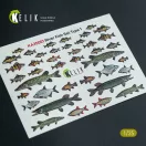Kelik River Fish set Type 1 - 3D Decal for dioramas 1:35 (KA35001)