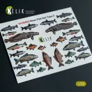 Kelik River Fish set Type 2 - 3D Decal for dioramas 1:35 (KA35002)