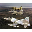 Kinetic CF-5D Freedom Fighter II 1:48 (K48123)