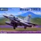 Kitty Hawk Mirage 2000 C 1:32 (KH32020)