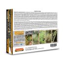 Lifecolor Detail Emphasizer 6 x 22 ml (LP01)