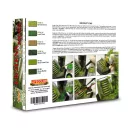 Lifecolor Lichens & Moss Weathering Set 6 x 22 ml (SPG06)