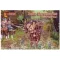 Mars Scots Mercenaries, 30 years war 1:72 (MS72034)