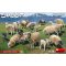 MiniArt Sheep 1:35 (38042)