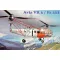 Micro Mir AMP Avia VR 3/ Fa 223 1:72 (AMP72005)