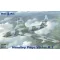 Micro Mir AMP Handley Page Victor B.1 1:144 (MM144-027)