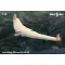 Micro Mir AMP Armstrong Whitworth AW-52 1:72 (MM72-016)