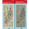Mirage Hobby Halberstadt Mottled Camouflage two types (WW1) (D0001)