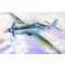 Mistercraft Fw-190D-9 Langnasen 1:72 (C-07)