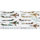 Mistercraft Su-20RLast Flight START SET 1:72 (SD-13)