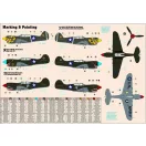 Mistercraft P-40E Aleutian Tiger START SET 1:72 (SD-202)