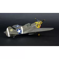 Mistercraft P-40E Aleutian Tiger START SET 1:72 (SD-202)